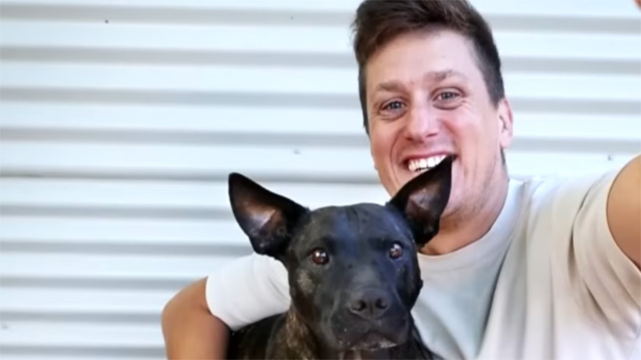 AI cancer vaccine for dog