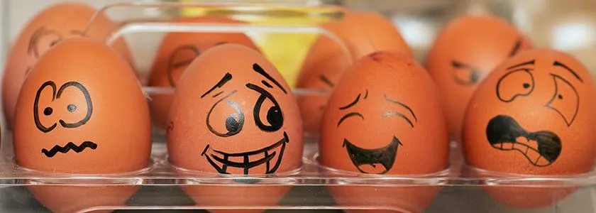 Happy Eggs