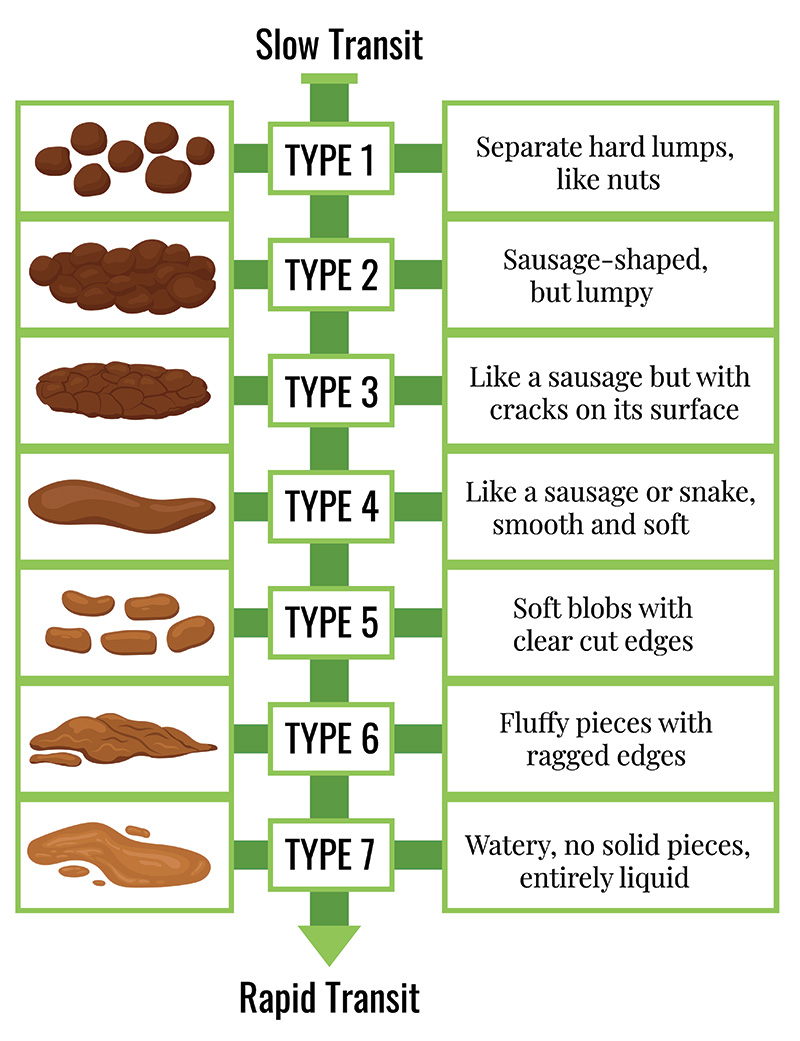 Bristol Stool Chart